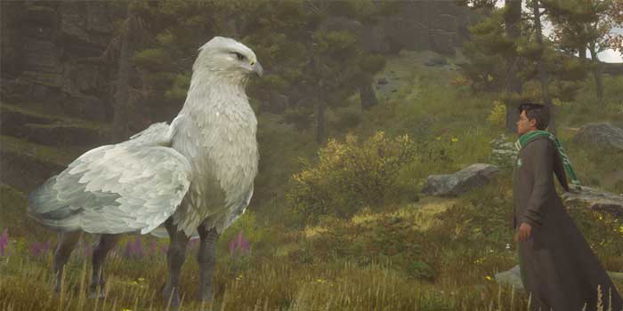 Hippogriff