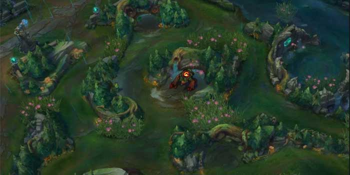 Jungle (Rừng)
