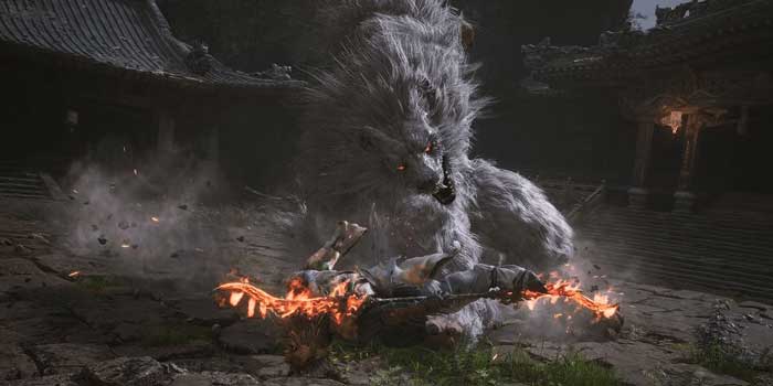Gameplay