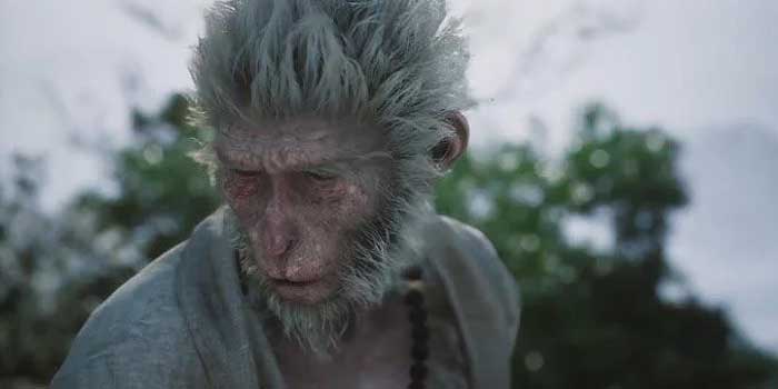Old Monkey (Khỉ Già)