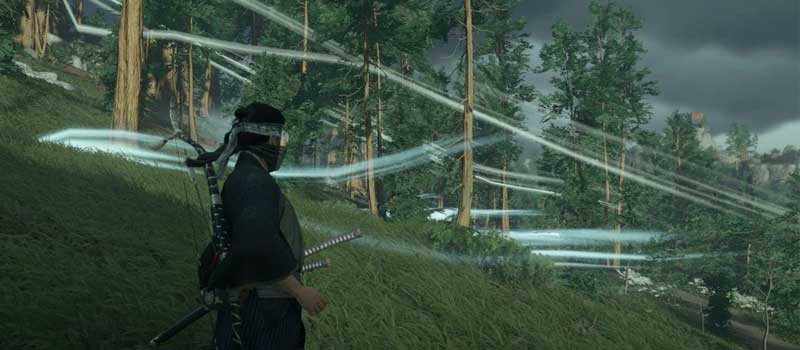 Ghost of Tsushima Guiding Wind