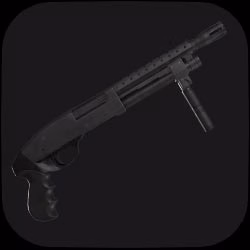 MSBG 500